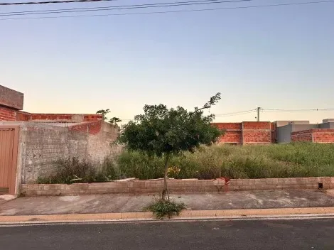 Terreno / Padr&atilde;o em Mirassol 