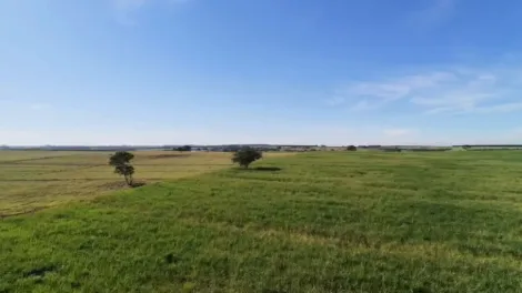 Rural / S&iacute;tio em S&atilde;o Jos&eacute; do Rio Preto 