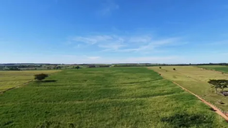 Comprar Rural / S&iacute;tio em S&atilde;o Jos&eacute; do Rio Preto R$ 3.792.000,00 - Foto 2