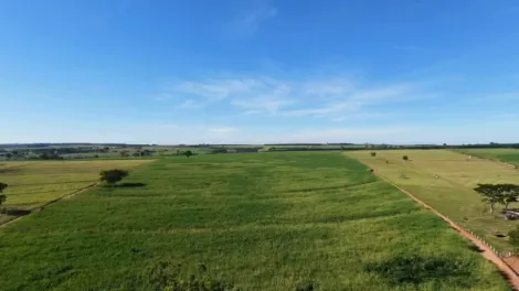 Comprar Rural / S&iacute;tio em S&atilde;o Jos&eacute; do Rio Preto R$ 3.792.000,00 - Foto 4