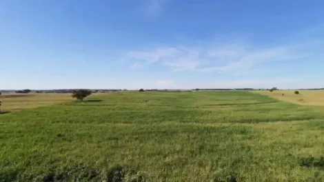 Comprar Rural / S&iacute;tio em S&atilde;o Jos&eacute; do Rio Preto R$ 3.792.000,00 - Foto 9