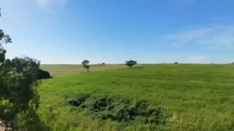 Comprar Rural / S&iacute;tio em S&atilde;o Jos&eacute; do Rio Preto R$ 3.792.000,00 - Foto 10