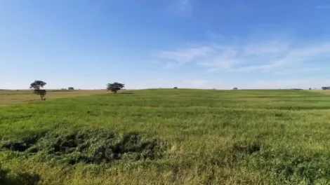 Comprar Rural / S&iacute;tio em S&atilde;o Jos&eacute; do Rio Preto R$ 3.792.000,00 - Foto 12