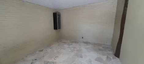 Alugar Casa / Padr&atilde;o em S&atilde;o Jos&eacute; do Rio Preto R$ 4.000,00 - Foto 3