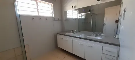 Alugar Casa / Padr&atilde;o em S&atilde;o Jos&eacute; do Rio Preto R$ 4.000,00 - Foto 7
