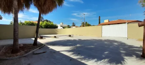 Alugar Casa / Padr&atilde;o em S&atilde;o Jos&eacute; do Rio Preto R$ 4.000,00 - Foto 16