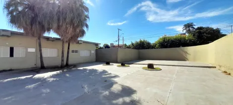 Alugar Casa / Padr&atilde;o em S&atilde;o Jos&eacute; do Rio Preto R$ 4.000,00 - Foto 17