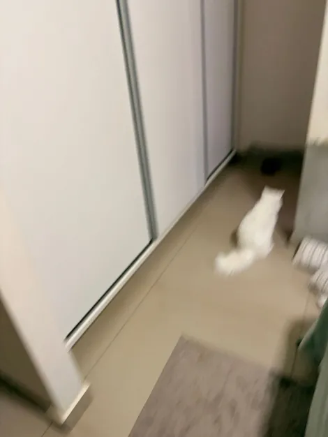 Comprar Casa / Condom&iacute;nio em S&atilde;o Jos&eacute; do Rio Preto R$ 1.450.000,00 - Foto 19