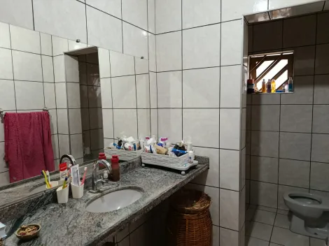 Comprar Casa / Padr&atilde;o em S&atilde;o Jos&eacute; do Rio Preto R$ 800.000,00 - Foto 15
