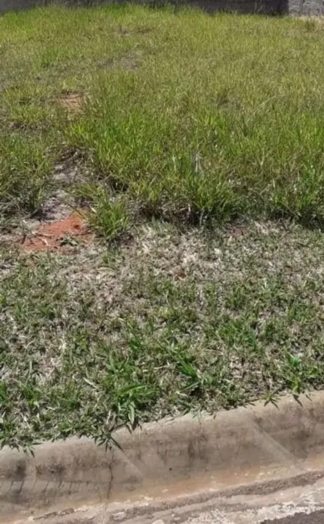 Comprar Terreno / Condom&iacute;nio em S&atilde;o Jos&eacute; do Rio Preto R$ 160.000,00 - Foto 5