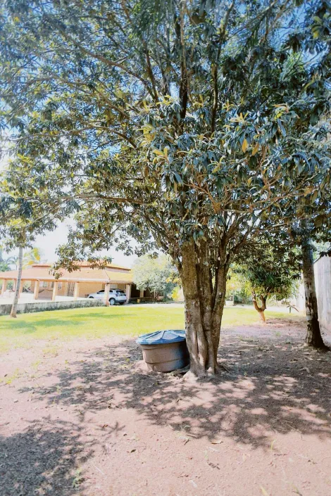 Comprar Rural / Ch&aacute;cara em Guapia&ccedil;u R$ 950.000,00 - Foto 16