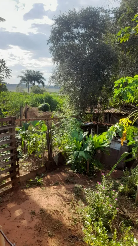 Comprar Rural / Ch&aacute;cara em S&atilde;o Jos&eacute; do Rio Preto R$ 550.000,00 - Foto 20