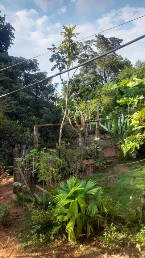 Comprar Rural / Ch&aacute;cara em S&atilde;o Jos&eacute; do Rio Preto R$ 550.000,00 - Foto 21