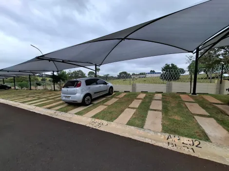 Alugar Apartamento / Padr&atilde;o em S&atilde;o Jos&eacute; do Rio Preto R$ 1.200,00 - Foto 10