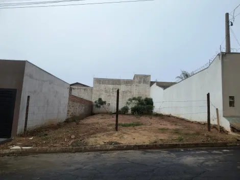 Terreno / Padr&atilde;o em Jaci 