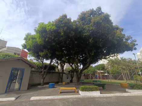 Comprar Apartamento / Padr&atilde;o em S&atilde;o Jos&eacute; do Rio Preto R$ 210.000,00 - Foto 21