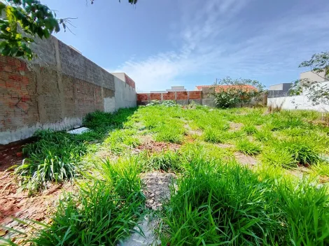 Comprar Terreno / Padr&atilde;o em S&atilde;o Jos&eacute; do Rio Preto R$ 135.000,00 - Foto 21