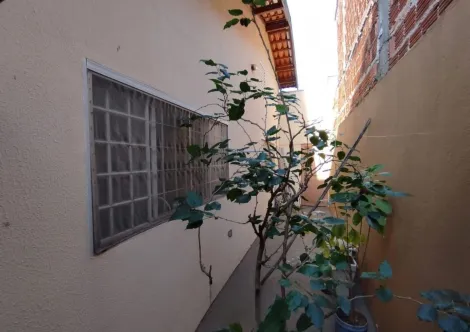 Comprar Casa / Padr&atilde;o em Mirassol R$ 300.000,00 - Foto 11
