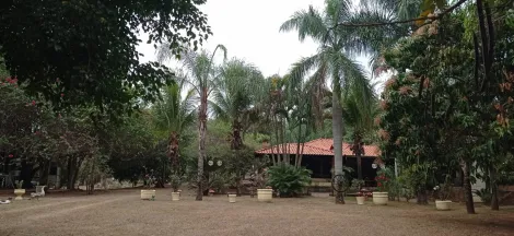 Comprar Rural / Ch&aacute;cara em S&atilde;o Jos&eacute; do Rio Preto R$ 999.000,00 - Foto 3