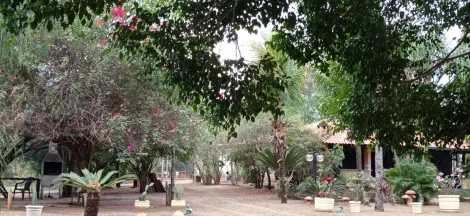 Comprar Rural / Ch&aacute;cara em S&atilde;o Jos&eacute; do Rio Preto R$ 999.000,00 - Foto 4