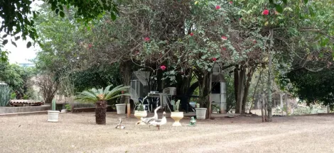 Comprar Rural / Ch&aacute;cara em S&atilde;o Jos&eacute; do Rio Preto R$ 999.000,00 - Foto 5