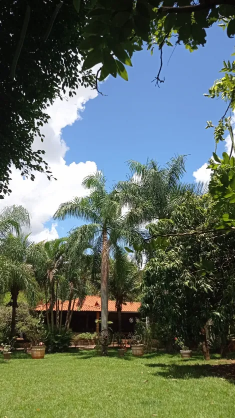 Comprar Rural / Ch&aacute;cara em S&atilde;o Jos&eacute; do Rio Preto R$ 999.000,00 - Foto 6