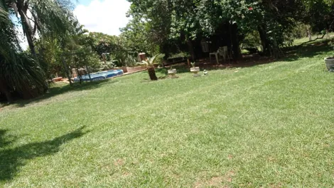 Comprar Rural / Ch&aacute;cara em S&atilde;o Jos&eacute; do Rio Preto R$ 999.000,00 - Foto 8
