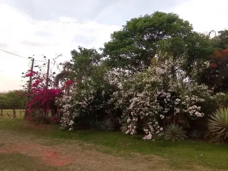 Comprar Rural / Ch&aacute;cara em S&atilde;o Jos&eacute; do Rio Preto R$ 999.000,00 - Foto 10
