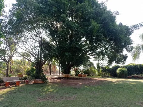 Comprar Rural / Ch&aacute;cara em S&atilde;o Jos&eacute; do Rio Preto R$ 999.000,00 - Foto 11