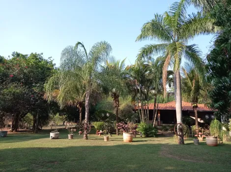 Comprar Rural / Ch&aacute;cara em S&atilde;o Jos&eacute; do Rio Preto R$ 999.000,00 - Foto 12
