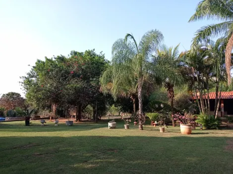 Comprar Rural / Ch&aacute;cara em S&atilde;o Jos&eacute; do Rio Preto R$ 999.000,00 - Foto 13