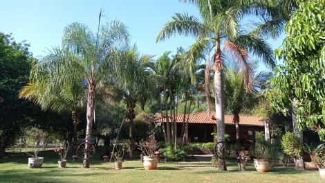 Comprar Rural / Ch&aacute;cara em S&atilde;o Jos&eacute; do Rio Preto R$ 999.000,00 - Foto 16
