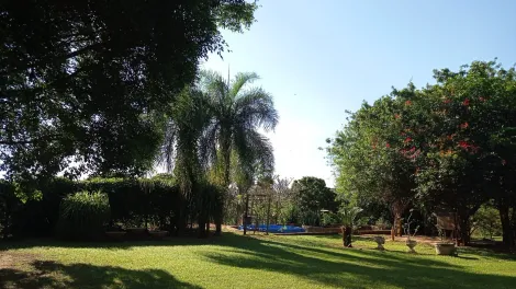 Comprar Rural / Ch&aacute;cara em S&atilde;o Jos&eacute; do Rio Preto R$ 999.000,00 - Foto 19