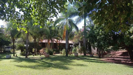 Comprar Rural / Ch&aacute;cara em S&atilde;o Jos&eacute; do Rio Preto R$ 999.000,00 - Foto 20