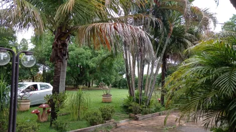 Comprar Rural / Ch&aacute;cara em S&atilde;o Jos&eacute; do Rio Preto R$ 999.000,00 - Foto 21
