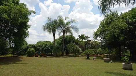 Comprar Rural / Ch&aacute;cara em S&atilde;o Jos&eacute; do Rio Preto R$ 999.000,00 - Foto 23