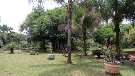 Comprar Rural / Ch&aacute;cara em S&atilde;o Jos&eacute; do Rio Preto R$ 999.000,00 - Foto 25