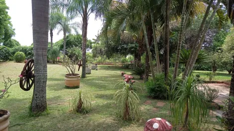 Comprar Rural / Ch&aacute;cara em S&atilde;o Jos&eacute; do Rio Preto R$ 999.000,00 - Foto 26