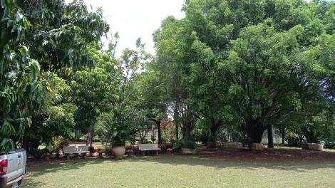 Comprar Rural / Ch&aacute;cara em S&atilde;o Jos&eacute; do Rio Preto R$ 999.000,00 - Foto 27