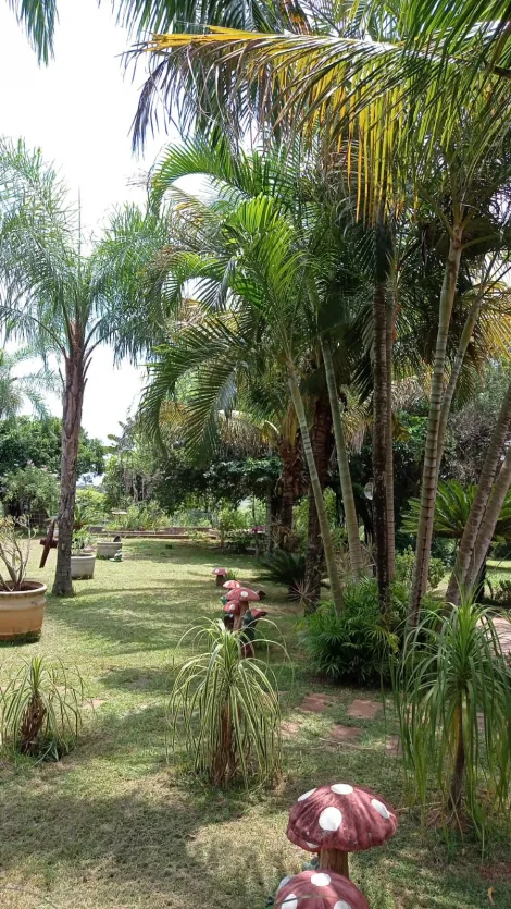 Comprar Rural / Ch&aacute;cara em S&atilde;o Jos&eacute; do Rio Preto R$ 999.000,00 - Foto 28
