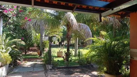 Comprar Rural / Ch&aacute;cara em S&atilde;o Jos&eacute; do Rio Preto R$ 999.000,00 - Foto 29