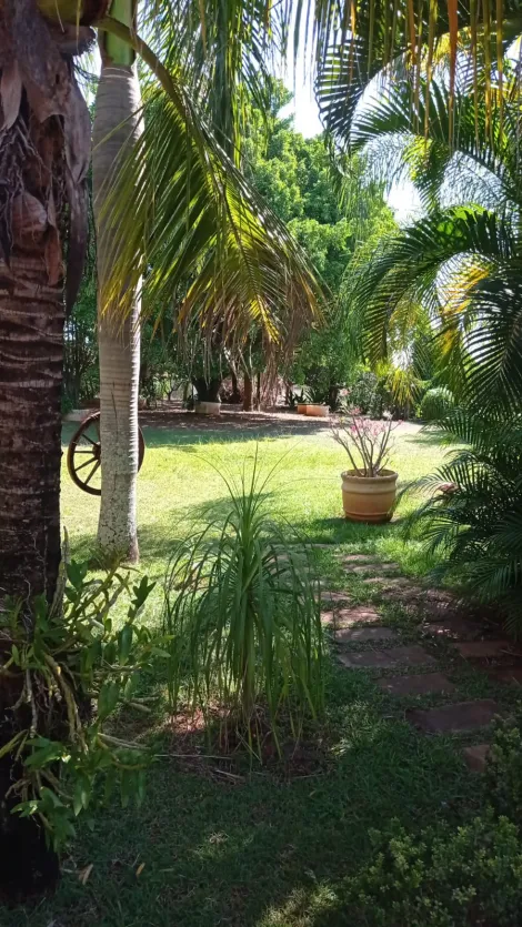 Comprar Rural / Ch&aacute;cara em S&atilde;o Jos&eacute; do Rio Preto R$ 999.000,00 - Foto 30