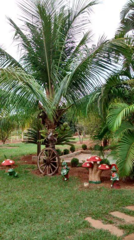 Comprar Rural / Ch&aacute;cara em S&atilde;o Jos&eacute; do Rio Preto R$ 999.000,00 - Foto 31