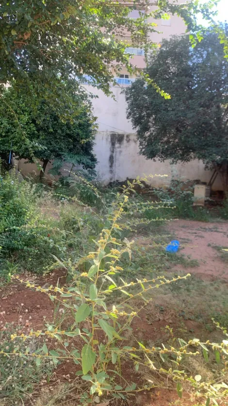 Comprar Comercial / Casa Comercial em S&atilde;o Jos&eacute; do Rio Preto R$ 700.000,00 - Foto 3