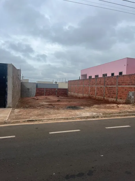 Terreno / Padr&atilde;o em S&atilde;o Jos&eacute; do Rio Preto 