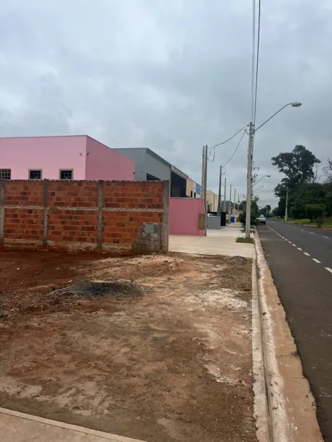 Comprar Terreno / Padr&atilde;o em S&atilde;o Jos&eacute; do Rio Preto R$ 200.000,00 - Foto 2