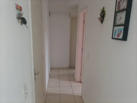 Comprar Apartamento / Padr&atilde;o em S&atilde;o Jos&eacute; do Rio Preto R$ 175.000,00 - Foto 6