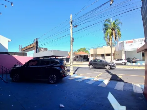 Alugar Comercial / Sal&atilde;o em S&atilde;o Jos&eacute; do Rio Preto R$ 2.500,00 - Foto 10