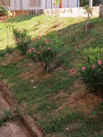 Comprar Apartamento / Padr&atilde;o em S&atilde;o Jos&eacute; do Rio Preto R$ 185.000,00 - Foto 9