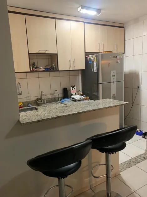 Apartamento / Cobertura em S&atilde;o Jos&eacute; do Rio Preto 